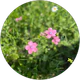Yekbun Ekinci profil fotoğrafı
