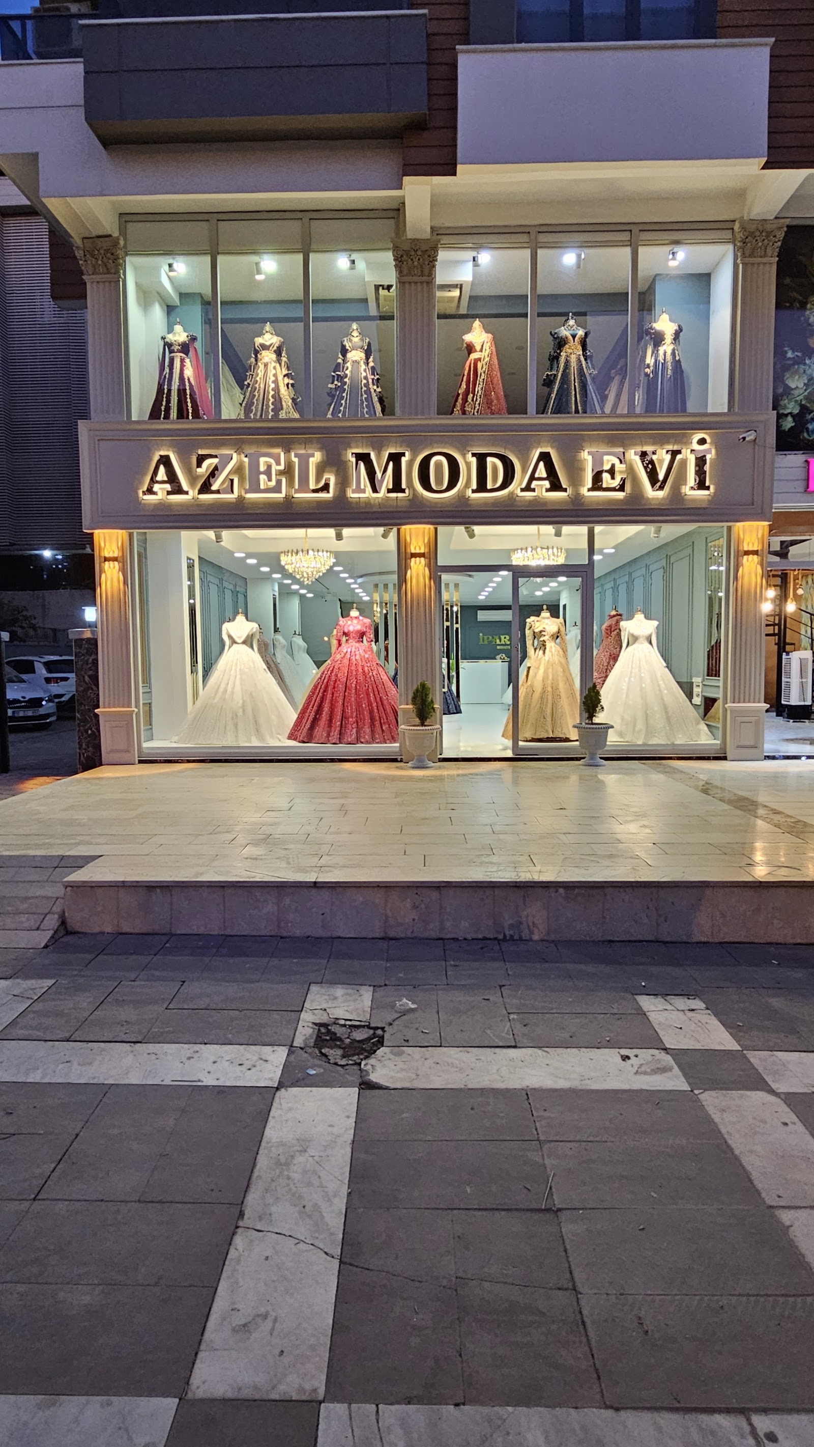 Azel modaevi