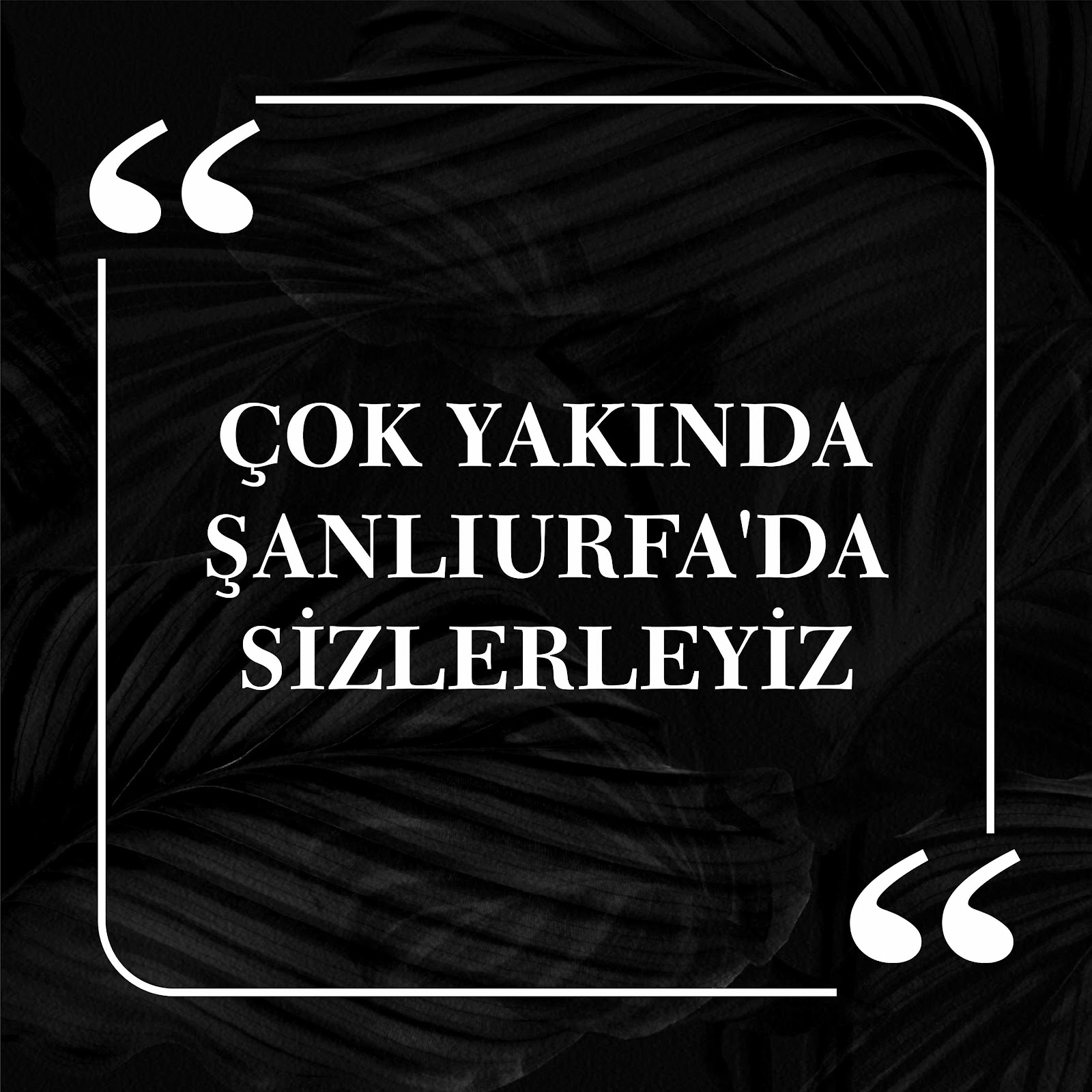 Galeri Güzel Gelinlik Urfa