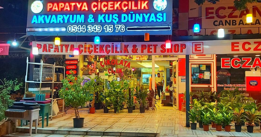 Papatya Çiçekçilik Ve Çikolat kır düğünü mekanı — Karaköprü
