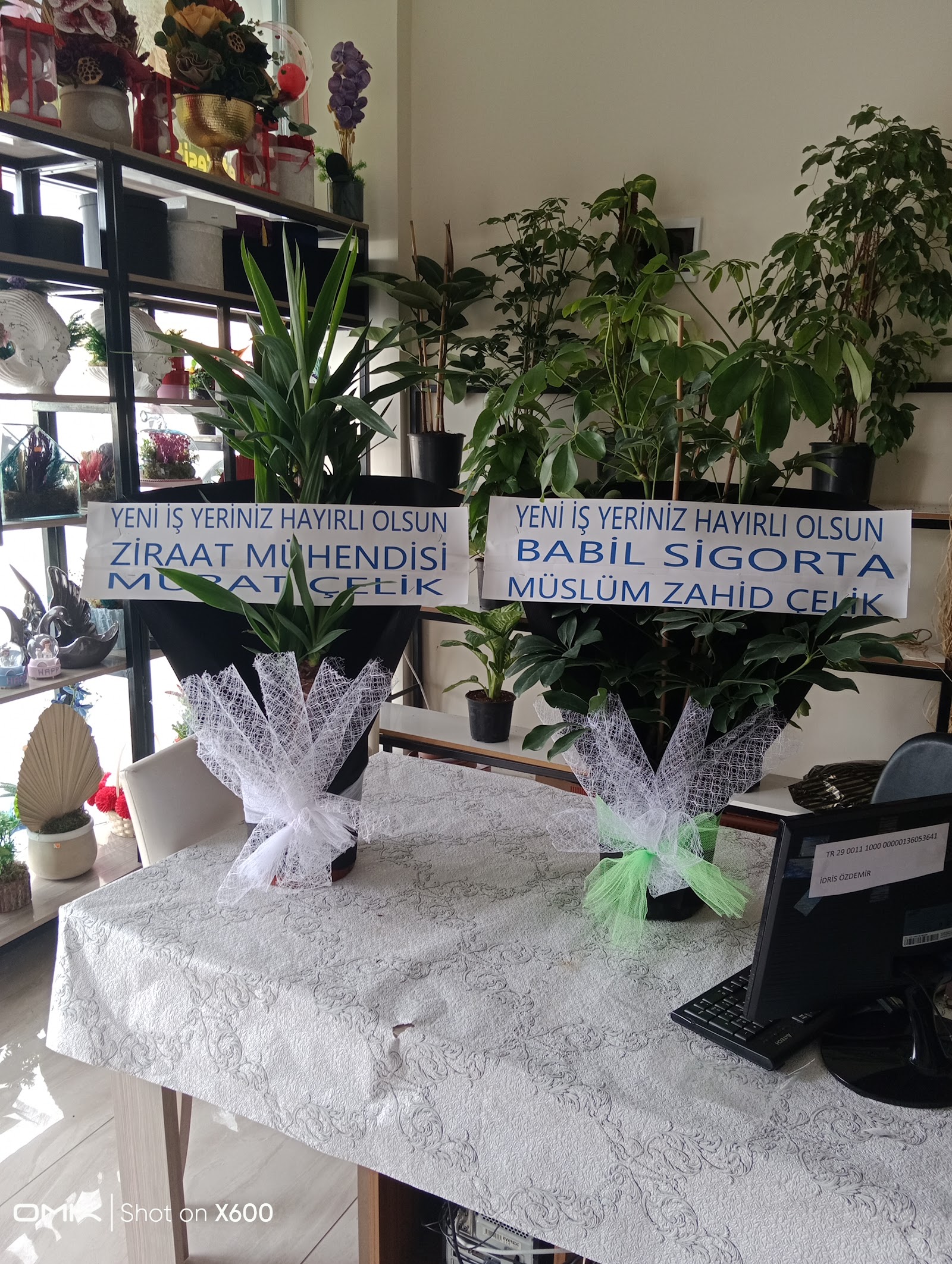 ZAMBAK ÇİÇEKÇİLİK ŞANLIURFA Karaköprü Güzelşehir Doğukent