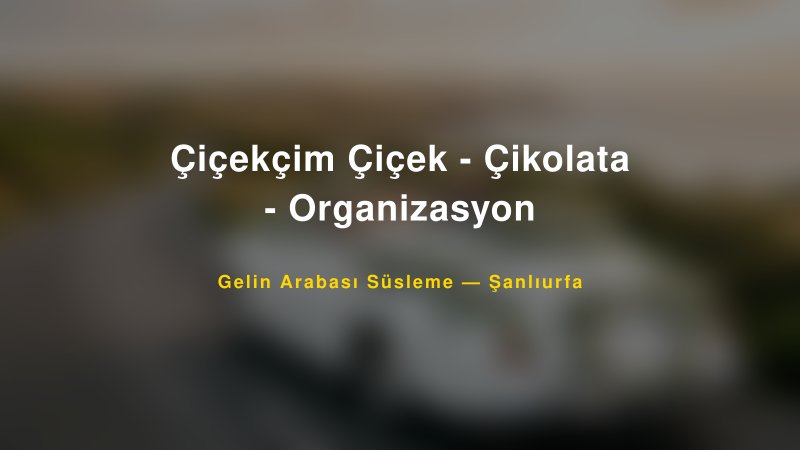 Çiçekçim Çiçek - Çikolata - Organizasyon Şanlıurfa Gelin Arabası Süsleme